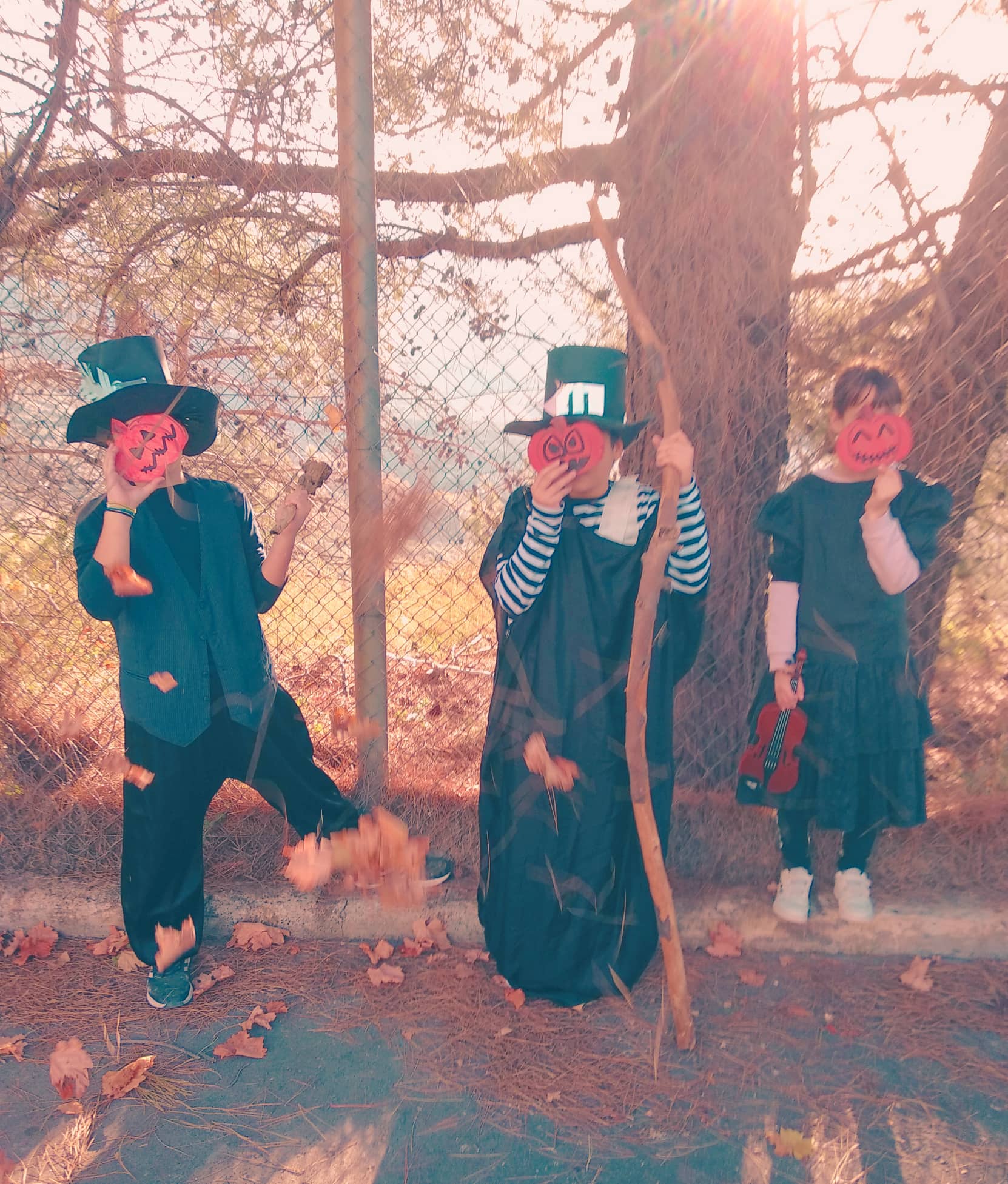 HAL 4 312989682 810228550230928 243644399395741644 n