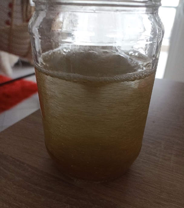 ΕΠΙΣΤΗΜΟΝΑΣ1